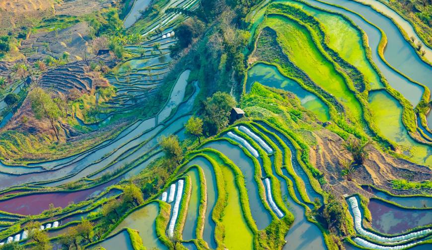 宝妈必备神器：杨浦区产品视频拍摄轻松育儿好帮手